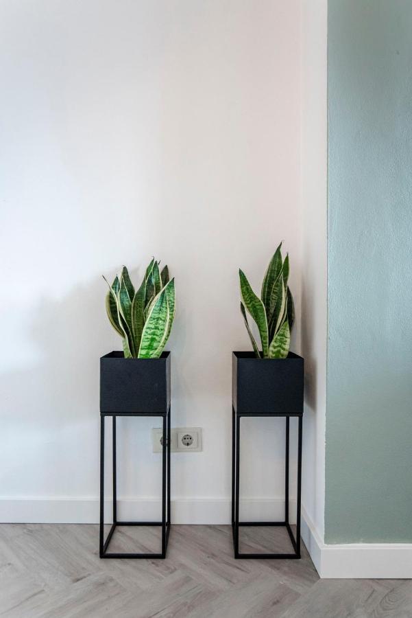 Appartement En Studio Papillon Zandvoort Exteriör bild